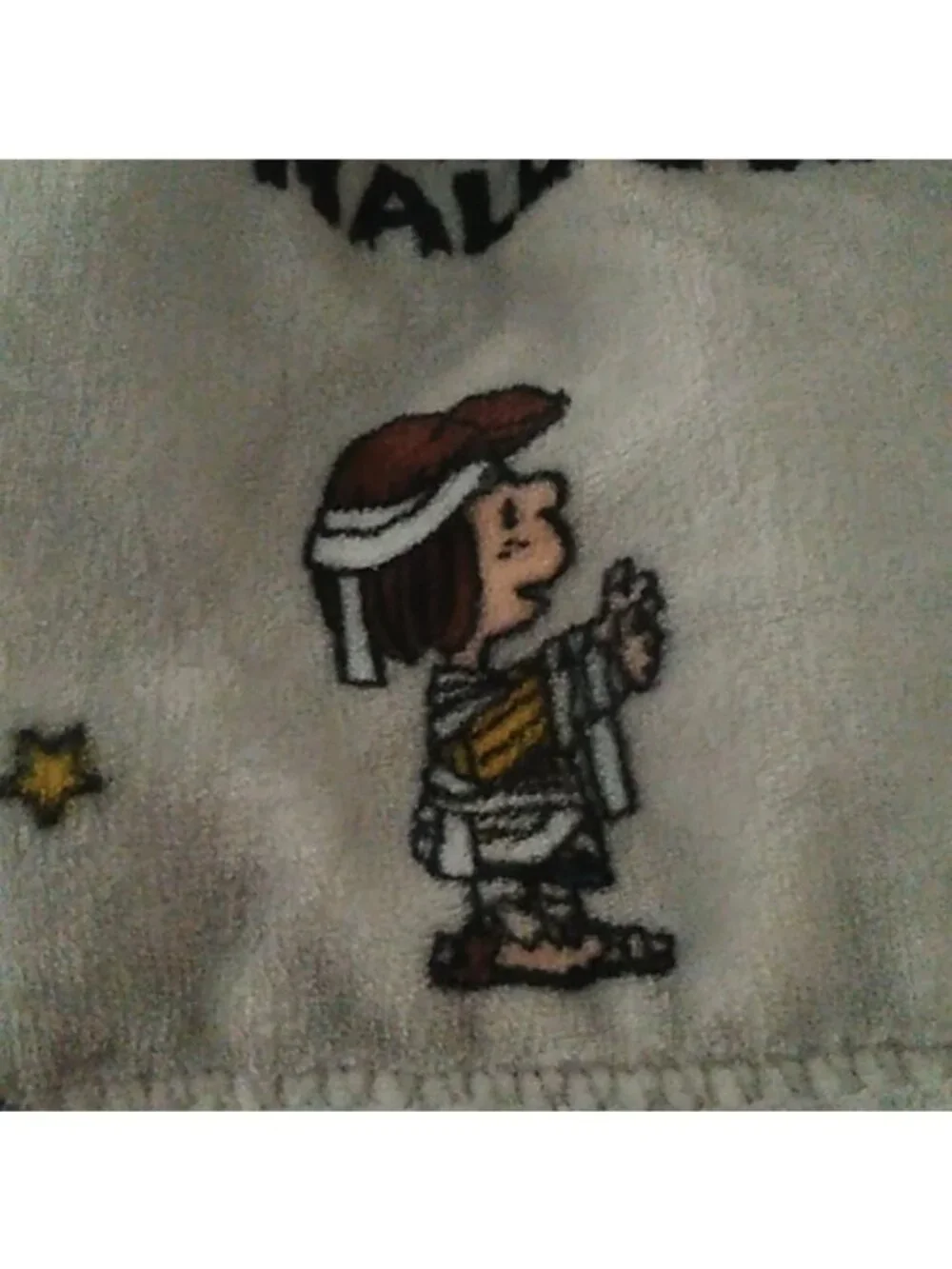 Berkshire Peanuts Halloween Lucy Charlie Brown Woodstock Plush Throw